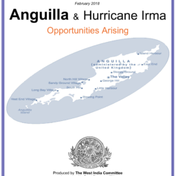 WIC publishes two new white papers on Hurricane Irma and Brexit